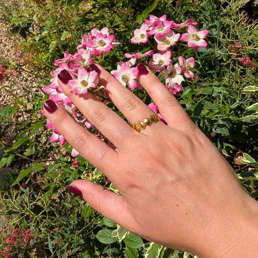 Bague Erbalunga